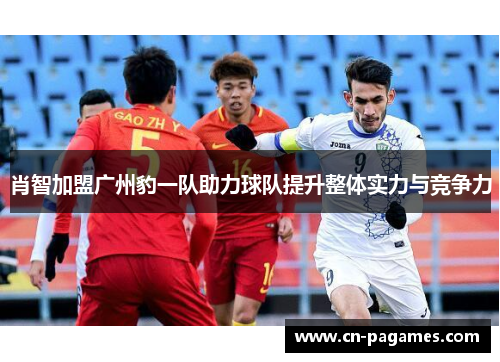 肖智加盟广州豹一队助力球队提升整体实力与竞争力